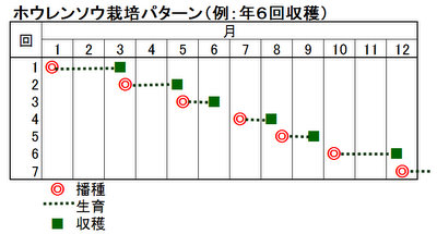 �z�E�����\�E�͔|�X�P�W���[��