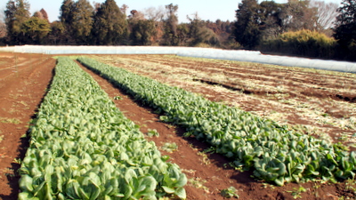 ファーム笹山宮田農場