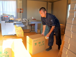 �����ؔ���