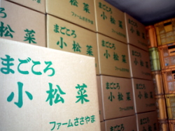 �����ؕۗ�q��