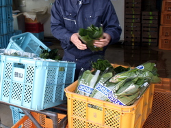 �z�E�����\�E�o�׎��ŏI����