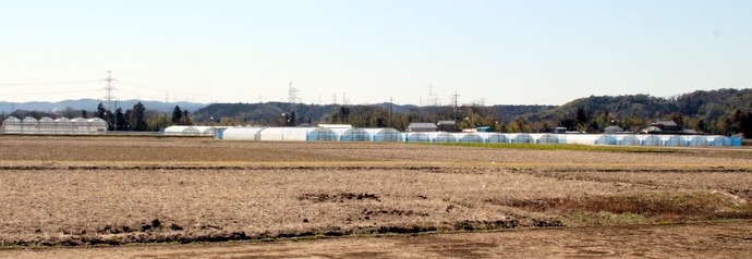 �t�@�[�����R�̃n�E�X�Q�ł��B