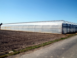 �\�[���[�n�E�X