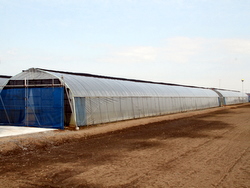 �r�j�[���n�E�X