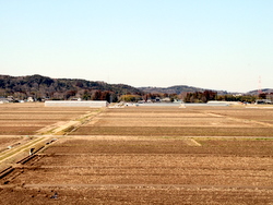 �����S�P�O������S�ږؒn��