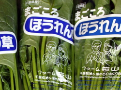 �z�E�����\�E�̕