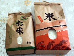 �t�@�[�����R�̂�������