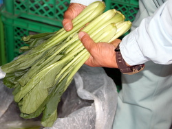 �t�@�[�����R�̏�����